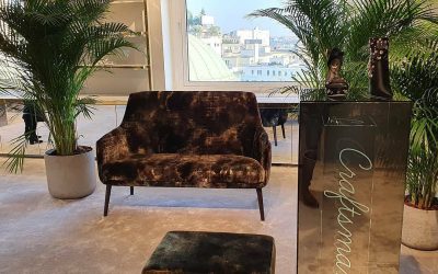 Premium-Italian-Velvet-Fashion-Furniture